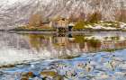 Landscape at Salangen Fjord near Loksebotn in northern Norway during winter. Art Print